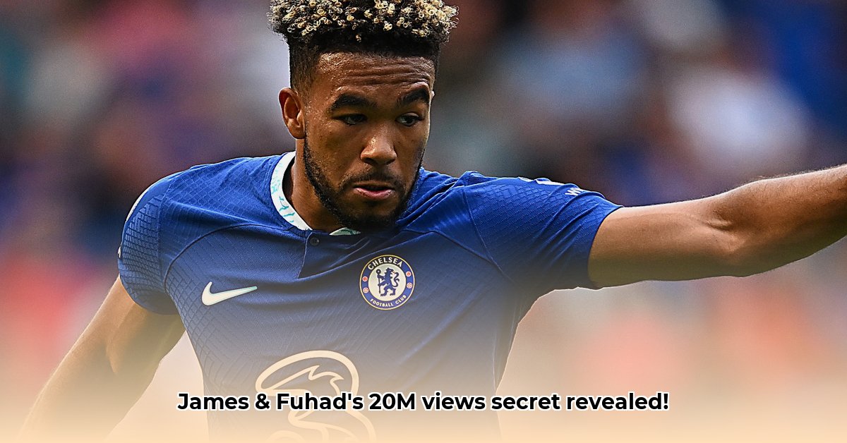 james-and-fuhad-net-worth